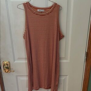 Arizona Jean Company Striped Mini Dress in Rust and Cream